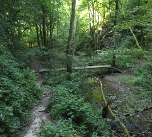 12082025Ehrbachklamm-021