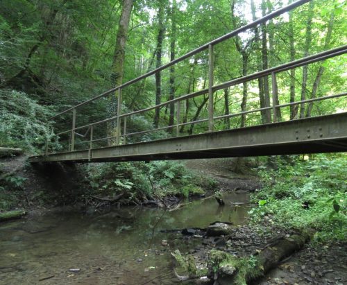 12082025Ehrbachklamm-024