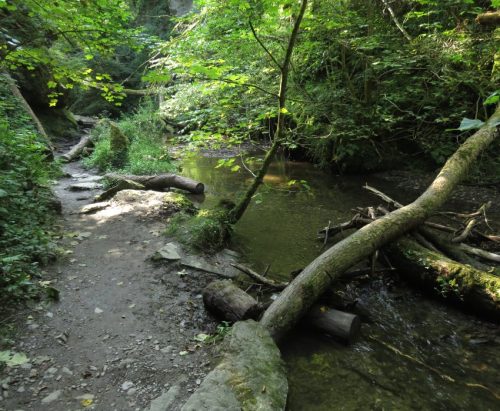 12082025Ehrbachklamm-027