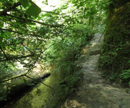 12082025Ehrbachklamm-028