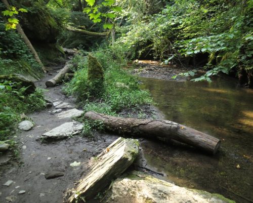 12082025Ehrbachklamm-029