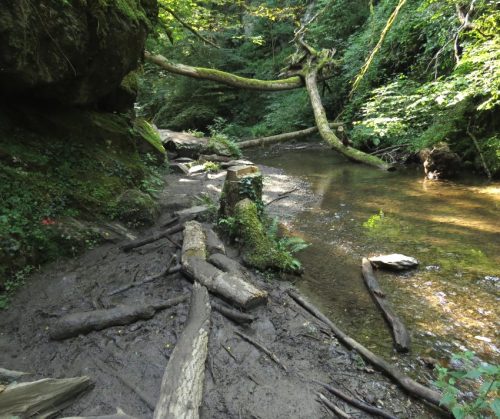 12082025Ehrbachklamm-030