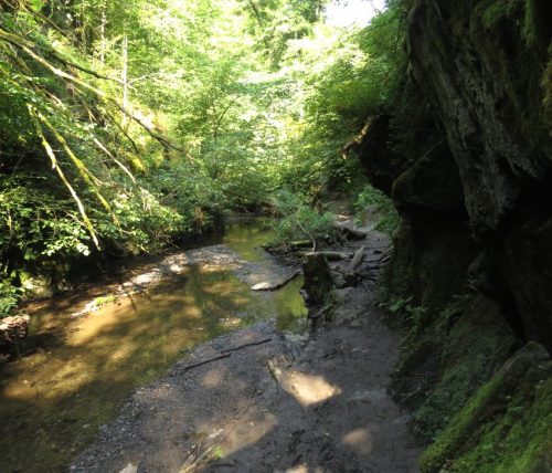 12082025Ehrbachklamm-031