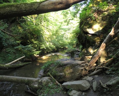 12082025Ehrbachklamm-032