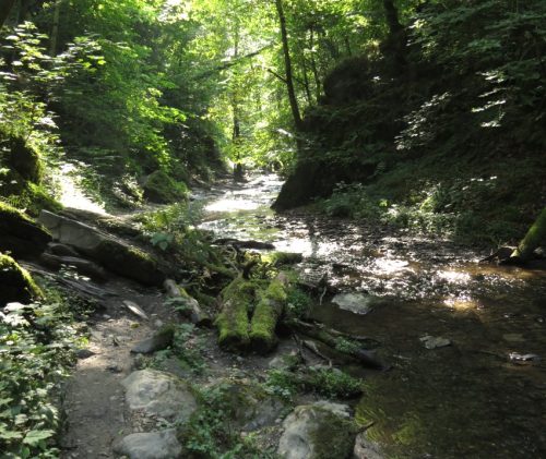12082025Ehrbachklamm-033