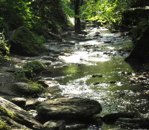 12082025Ehrbachklamm-034