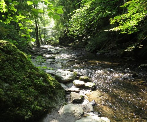 12082025Ehrbachklamm-035