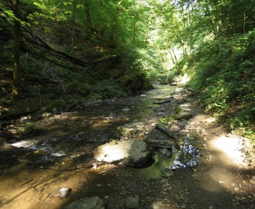 12082025Ehrbachklamm-036