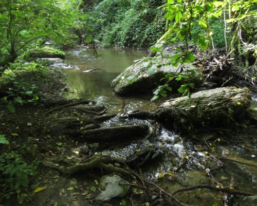 12082025Ehrbachklamm-038