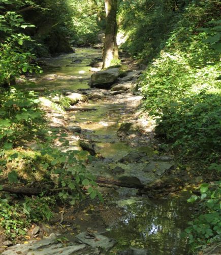 12082025Ehrbachklamm-039