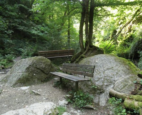 12082025Ehrbachklamm-040
