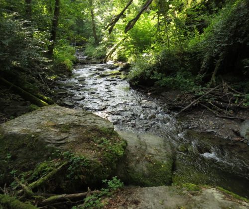 12082025Ehrbachklamm-041