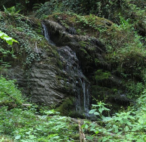 12082025Ehrbachklamm-043