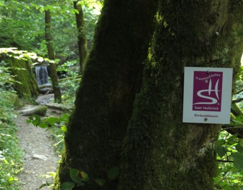 12082025Ehrbachklamm-045