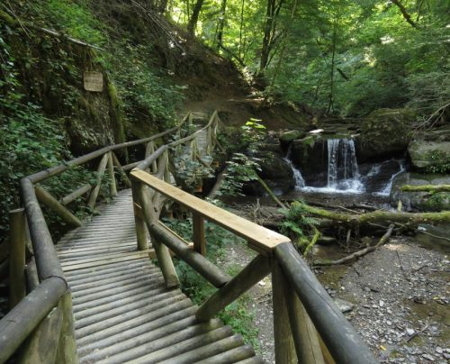 12082025Ehrbachklamm-046