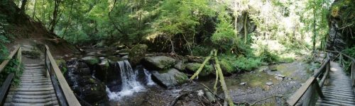 12082025Ehrbachklamm-047a