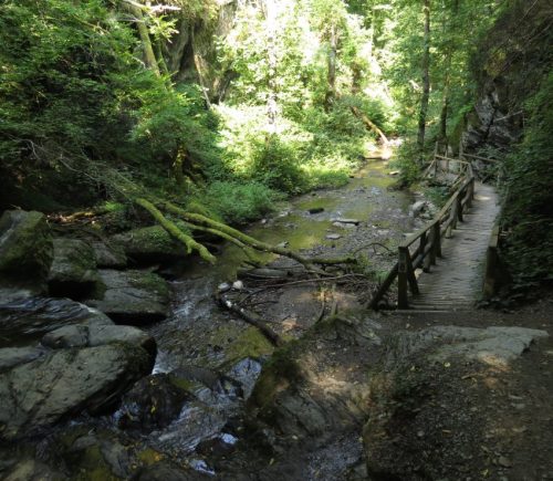 12082025Ehrbachklamm-048