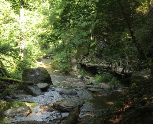 12082025Ehrbachklamm-049