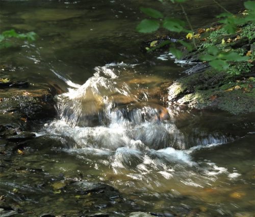 12082025Ehrbachklamm-050