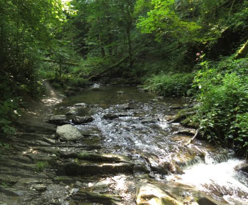 12082025Ehrbachklamm-055