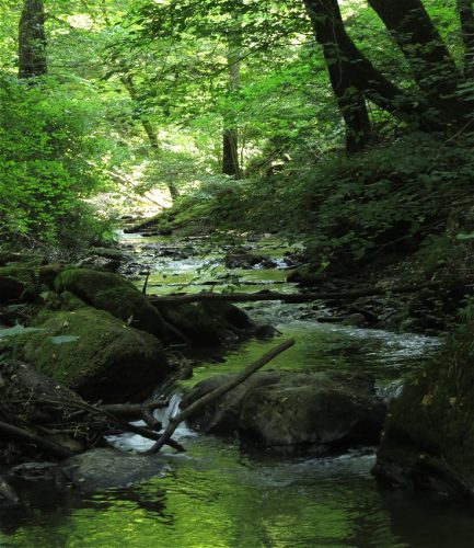 12082025Ehrbachklamm-056