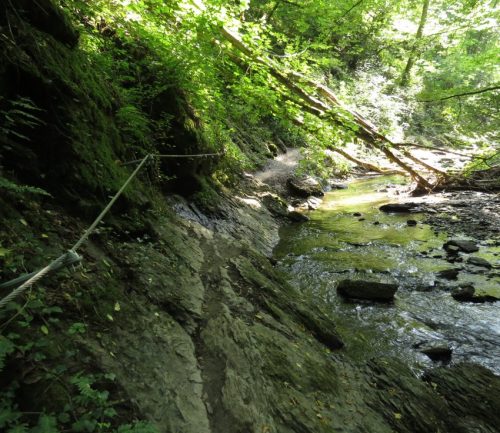 12082025Ehrbachklamm-058