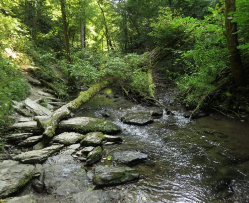 12082025Ehrbachklamm-064