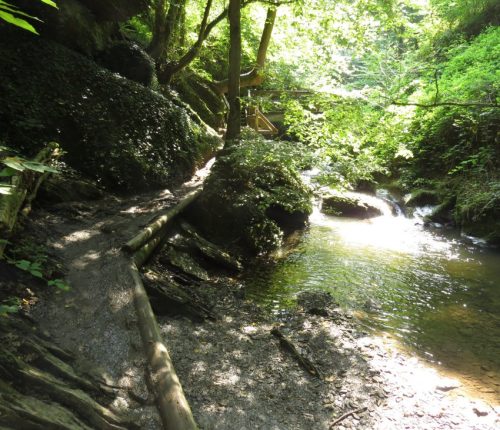 12082025Ehrbachklamm-065