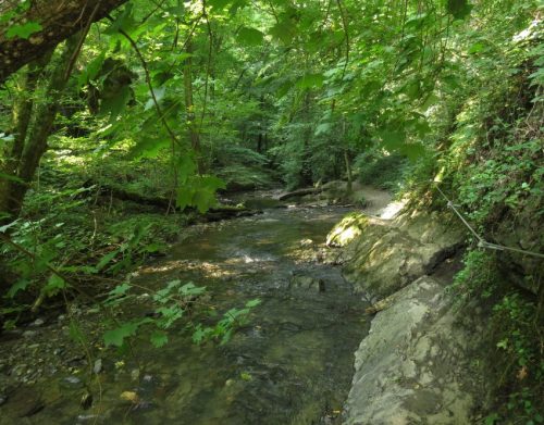 12082025Ehrbachklamm-069