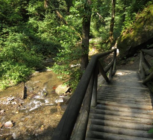 12082025Ehrbachklamm-072