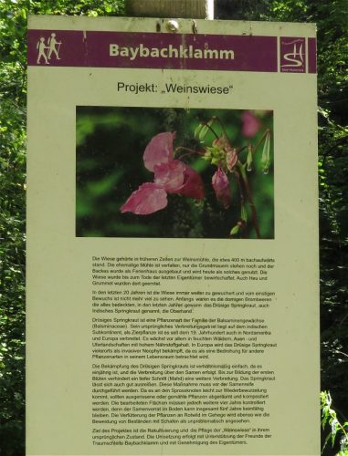 17082025BaybachklammTeil01-111