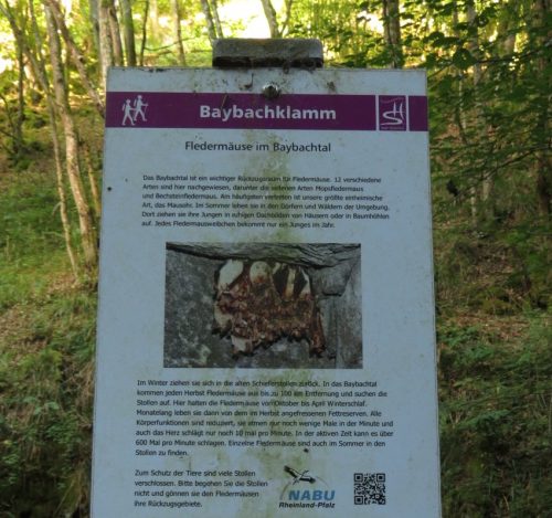 18082025BaybachklammTeil02-014