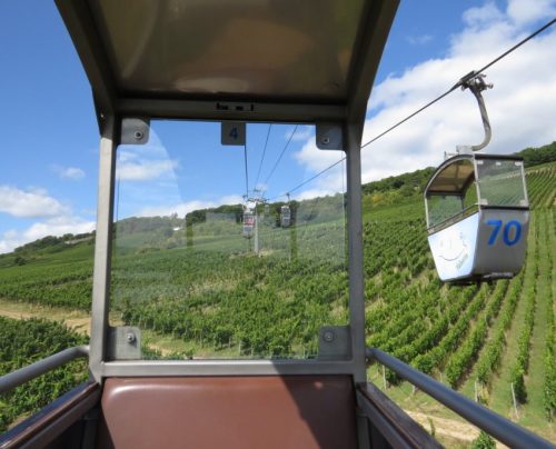 22082025RuedesheimSchifffahrtKO-002