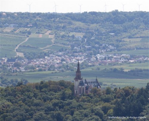 22082025RuedesheimSchifffahrtKO-006