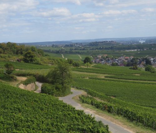 22082025RuedesheimSchifffahrtKO-027