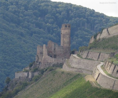 22082025RuedesheimSchifffahrtKO-043