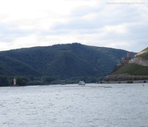 22082025RuedesheimSchifffahrtKO-044
