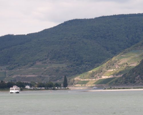 22082025RuedesheimSchifffahrtKO-050