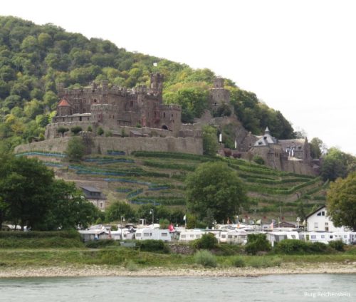 22082025RuedesheimSchifffahrtKO-054