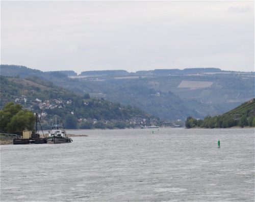 22082025RuedesheimSchifffahrtKO-055