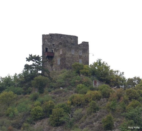 22082025RuedesheimSchifffahrtKO-061
