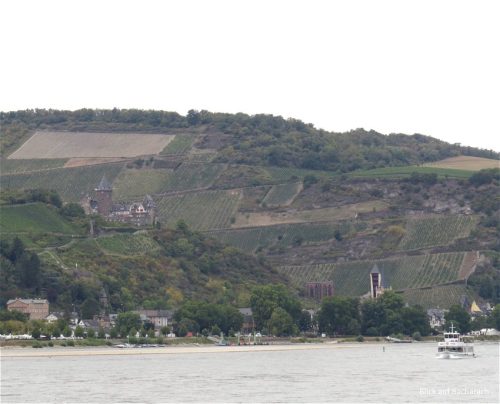 22082025RuedesheimSchifffahrtKO-062