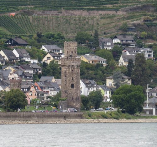 22082025RuedesheimSchifffahrtKO-079