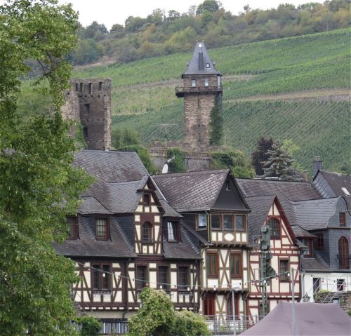 22082025RuedesheimSchifffahrtKO-081