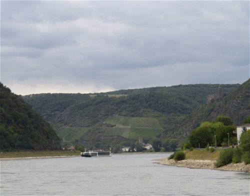 22082025RuedesheimSchifffahrtKO-088
