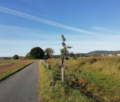 07092025ThuererWiesen-004