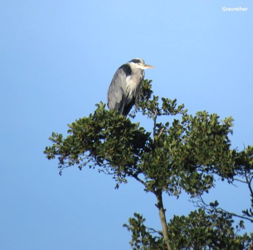 07092025ThuererWiesen-006