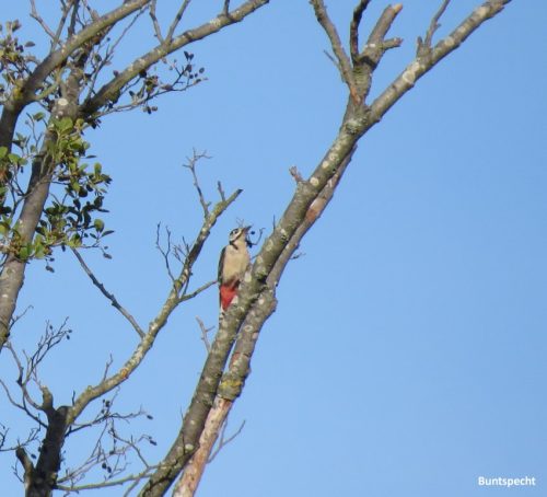 07092025ThuererWiesen-008