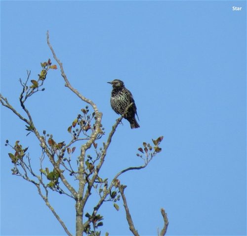 07092025ThuererWiesen-009