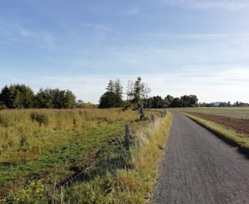 07092025ThuererWiesen-027